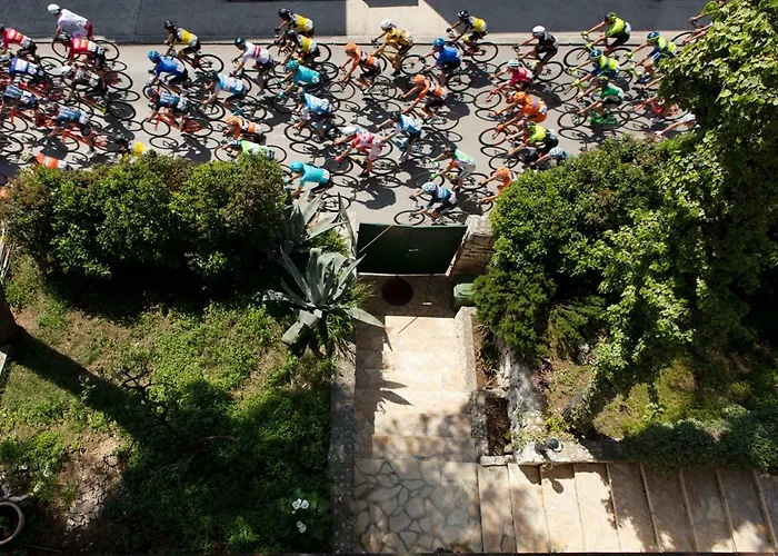 Apartments-curkovic Trogir